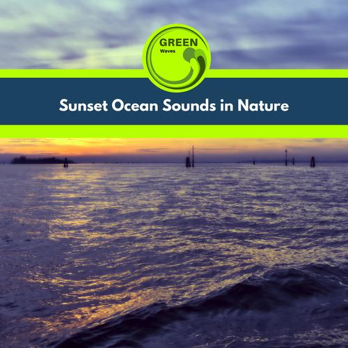 Sunset Ocean Sounds in Nature