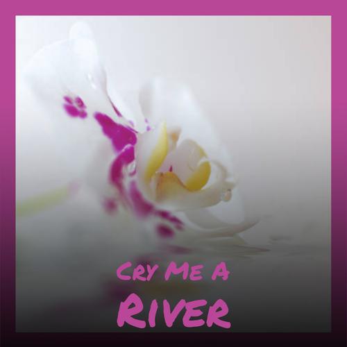 Cry Me A River