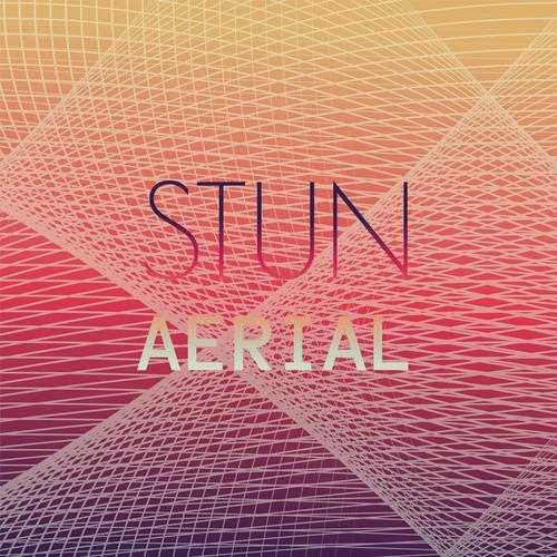 Stun Aerial