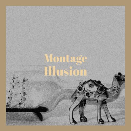 Montage Illusion