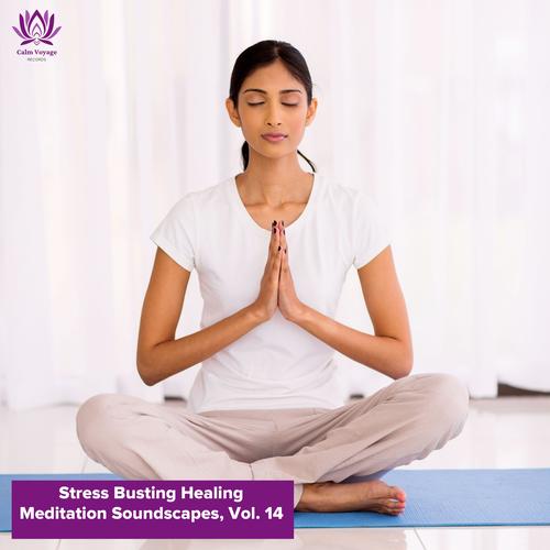 Stress Busting Healing Meditation Soundscapes, Vol. 14