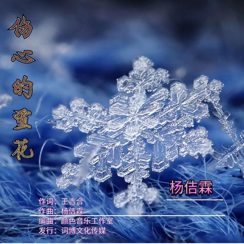 伤心的雪花