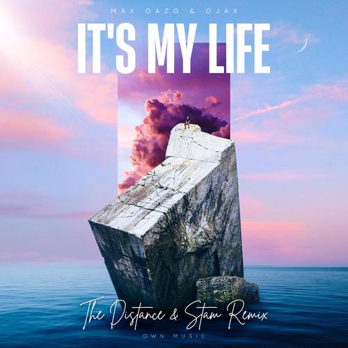 It's My Life (The Distance & Stam Remix)