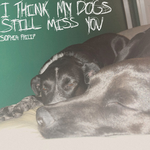 I Think My Dogs Still Miss You (Explicit)