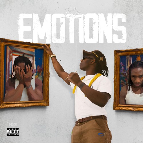 emotions(explicit)