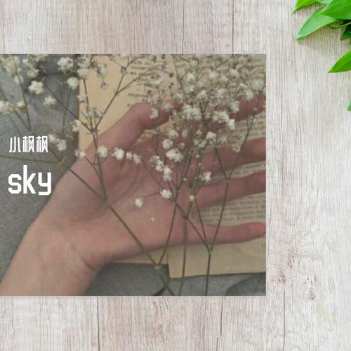 sky