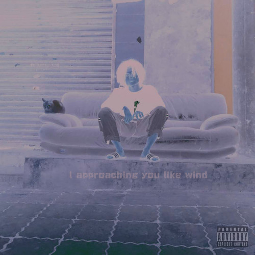 I approaching you like wind (像风也像你)