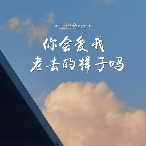 王佳音-你会爱我老去的样子吗.(无损下载)