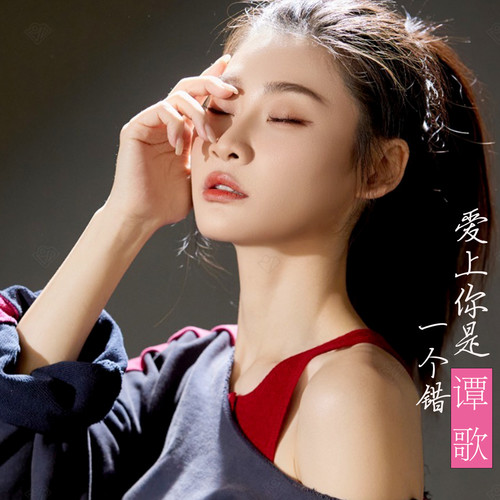 爱上你是一个错（DJ版）