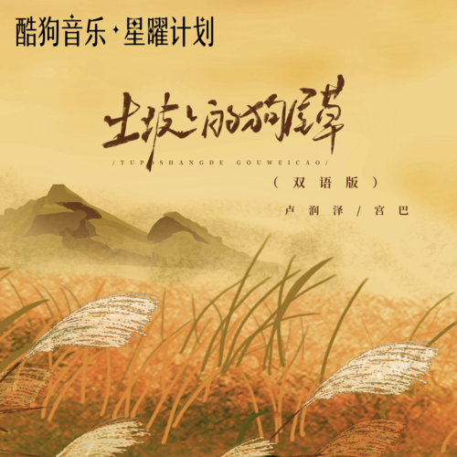 土坡上的狗尾草(DJ沈念双语版) - 卢润泽&宫巴