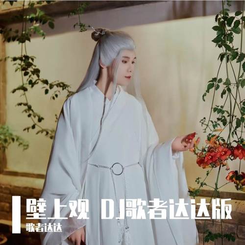 壁上观 (DJ歌者达达版)