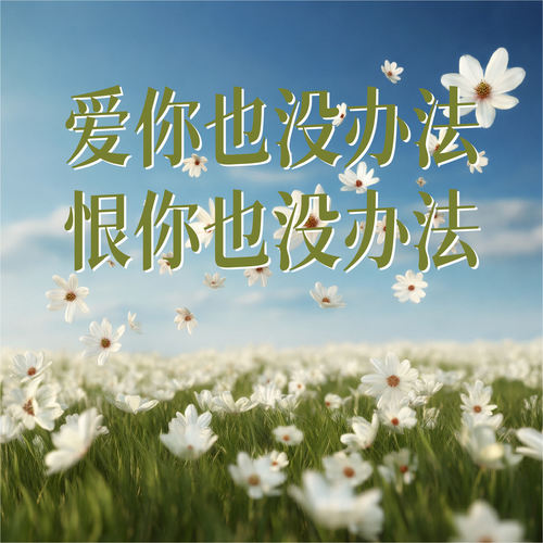 爱你也没办法 恨你也没办法