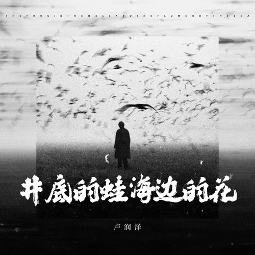 卢润泽-井底的蛙 海边的花无损下载