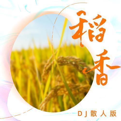 稻香（DJ散人版）