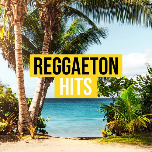 Reggaeton Hits (Explicit)