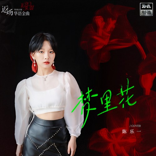 梦里花 - 陈乐一
