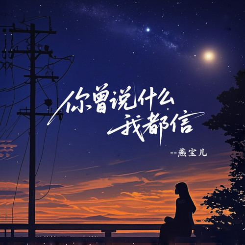 你曾说什么我都信（DJ大来版）