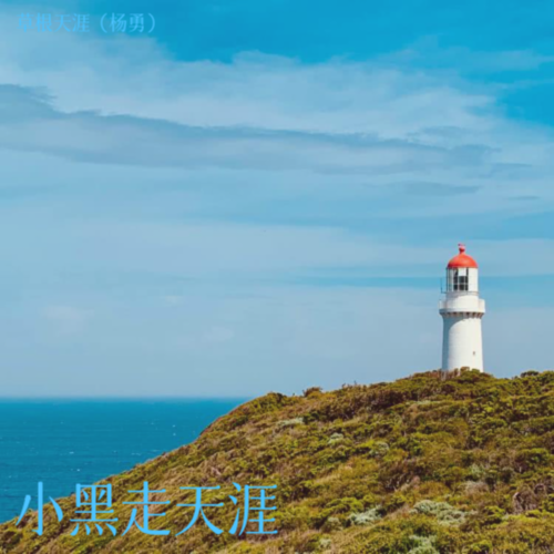 小黑走天涯