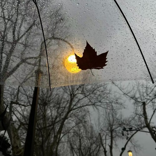 我的长枪让人撅折了