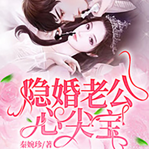 隐婚老公心尖宝