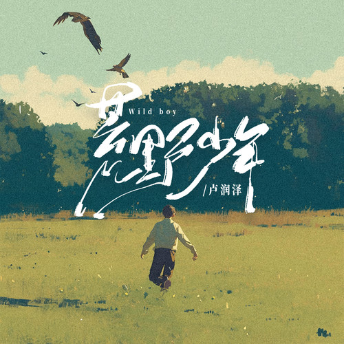 卢润泽-荒野少年百度云盘下载