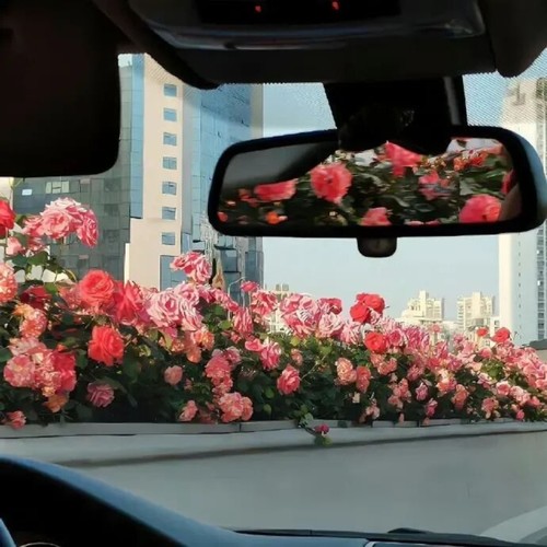 抖音伤感氛围音乐