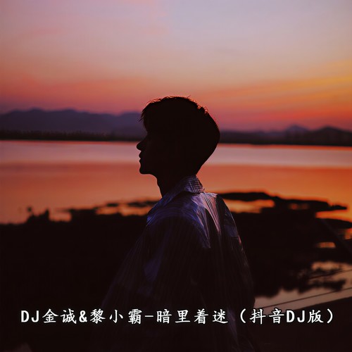 暗里着迷 (抖音DJ版)