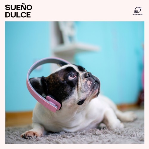 Sueño Dulce: Música Relajante para Perros