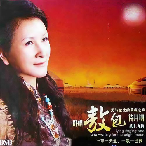 龙梅-草原情.wav