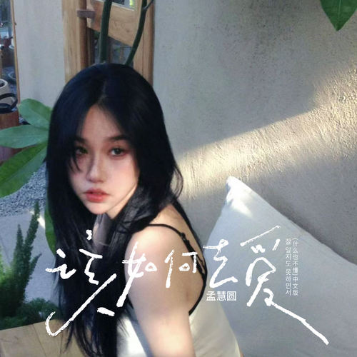 该如何去爱(什么也不懂中文版)