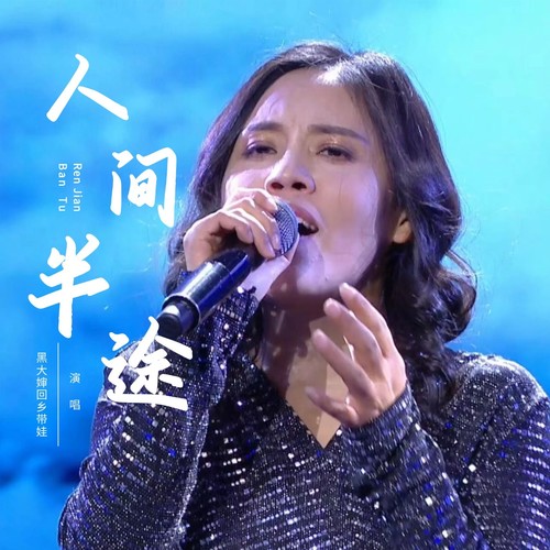 人间半途（黑大婶版）