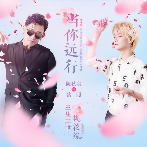 当你远行 - 陈秋实&蔡照