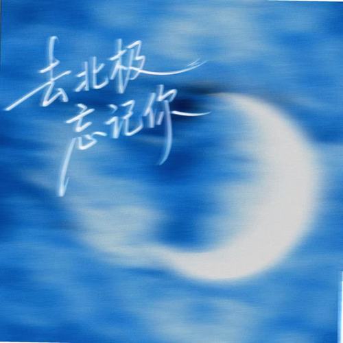 去北极忘记你