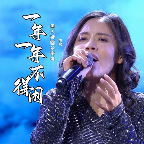一年一年不得闲-黑大婶版（DJ小海版）