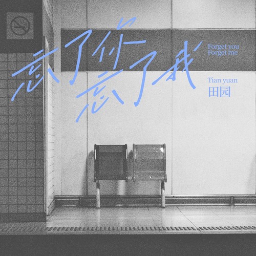 忘了你忘了我（DJ沈乐版） - 田园