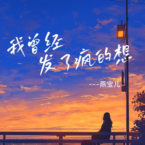 我曾经发了疯的想（DJ版）