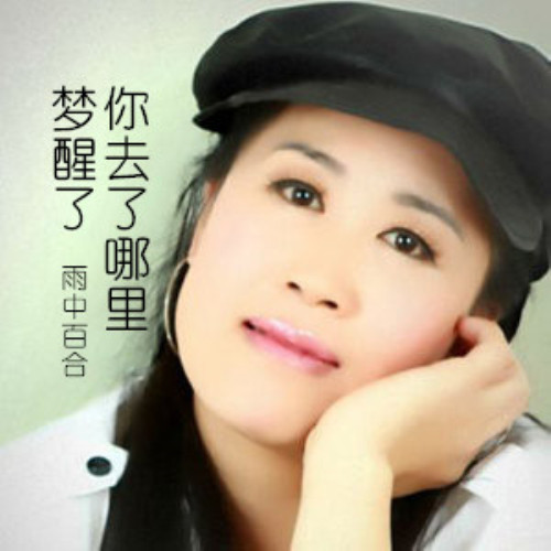 梦醒了你去了哪里