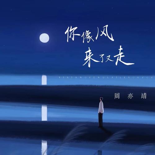 周亦靖-你像风来了又走.ape 下载插图