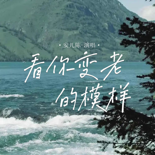 看你变老的模样