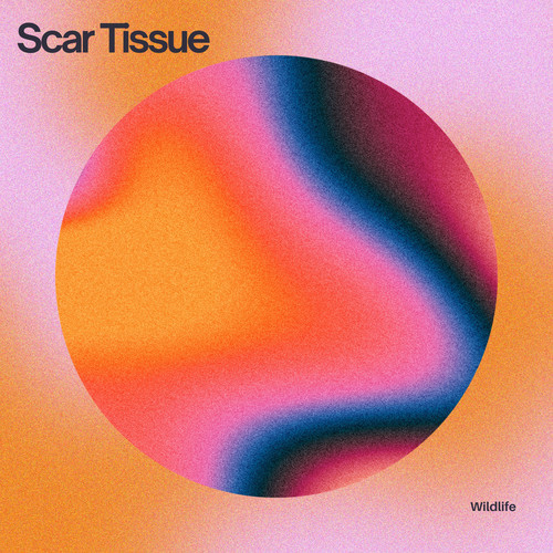Scar Tissue