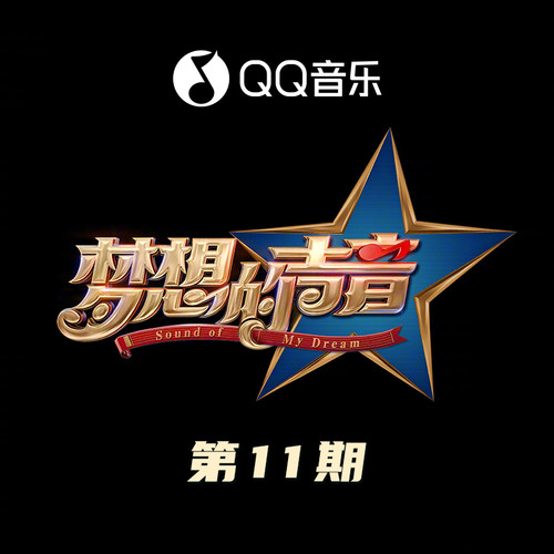 梦想的声音 第11期