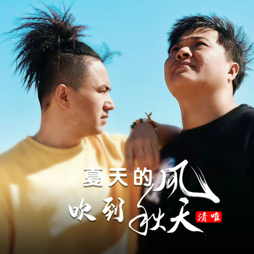 夏天的风吹到秋天 (DJ文华版)