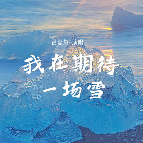 我在期待一场雪