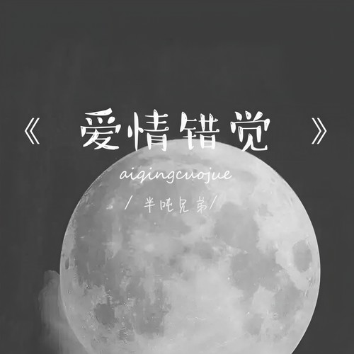 半吨兄弟-爱情错觉.flac 下载插图