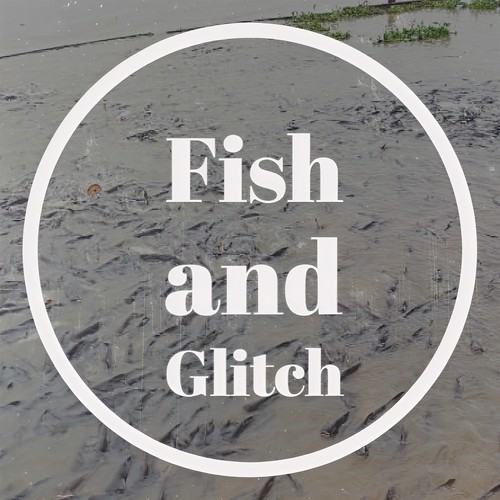 Fish and Glitch