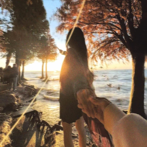 梦的翅膀受了伤