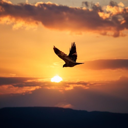 Armonía Interior: Momentos De Música Relajante