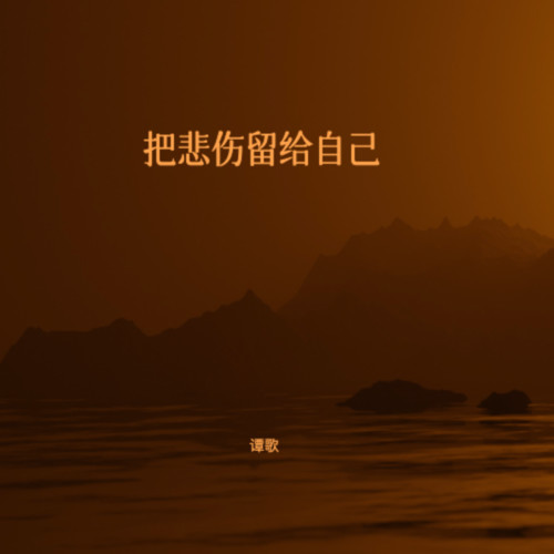 把悲伤留给自己（能不能让我陪着你走）
