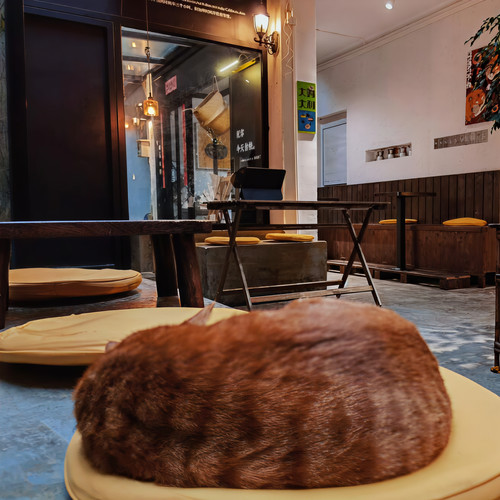 italian coffee shop (Remix)