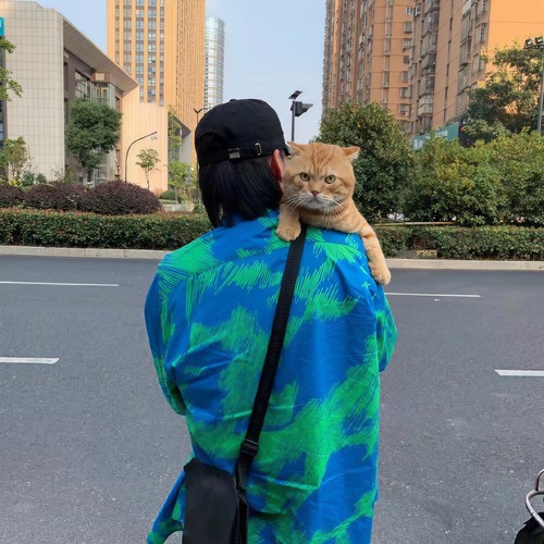 近期抖音热播BGM